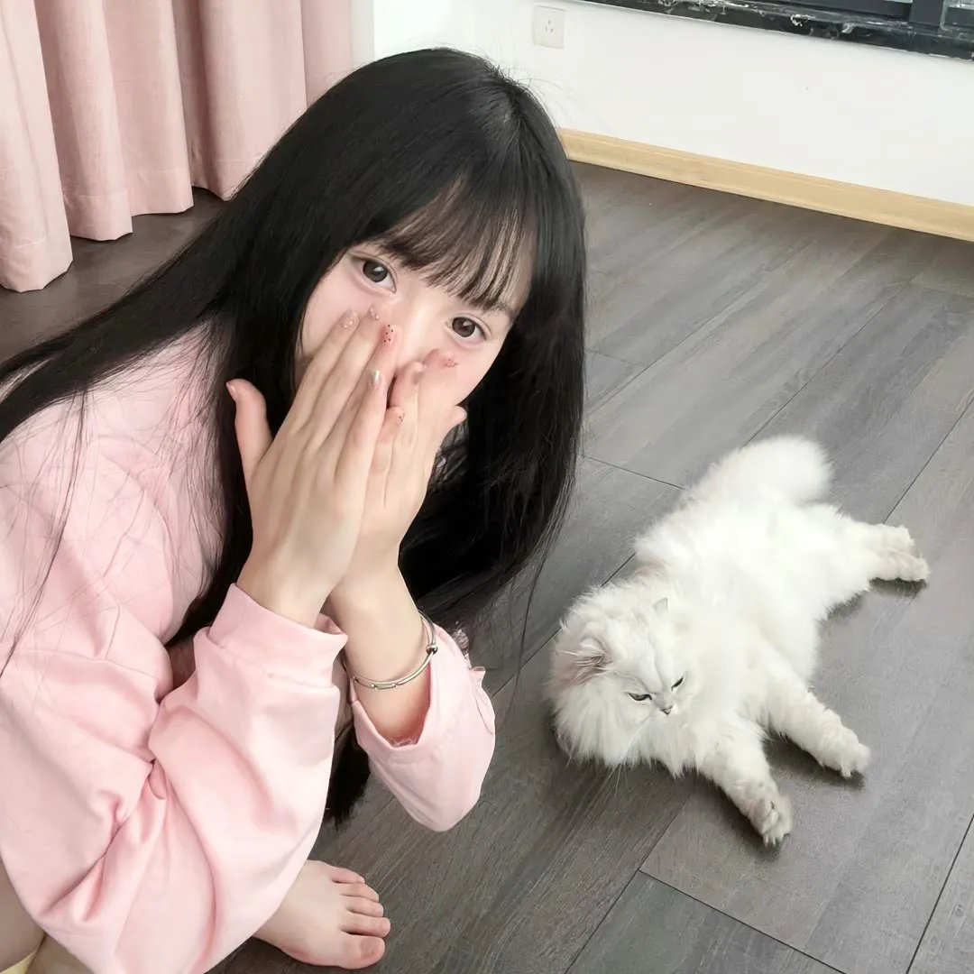 天降福宝送运来