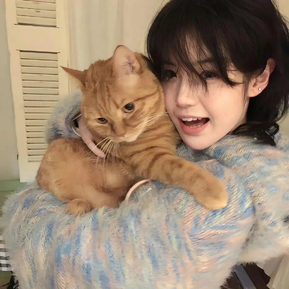 杀手十三第二季